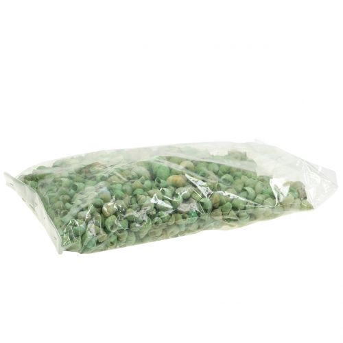 Floristik24 Assortiment slakkenhuis groen 1kg