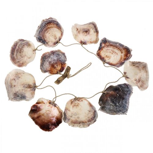 Artikel Schelpenslinger Maritieme decoratie schelpenslinger 150cm