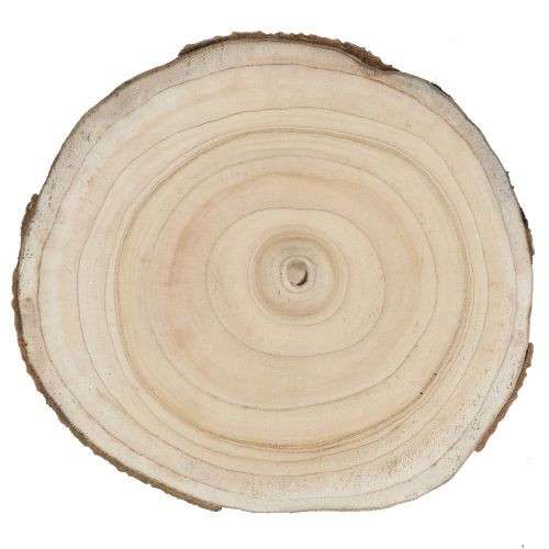 Artikel Boomschijf bosklokje naturel Ø30-35cm 1 st