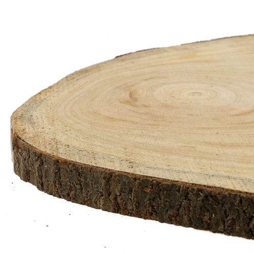 Floristik24 Boomschijf blauwe belboom natuur Ø35–45cm