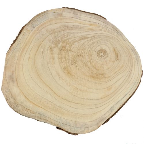 Floristik24 Boomschijf blauwe belboom natuur Ø35–45cm