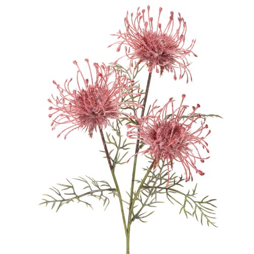 Kunstbloemen speldenkussen protea bloeiende tak 65cm 3 stuks kopen | Floristik24.nl