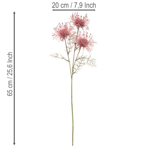 Kunstbloemen speldenkussen protea bloeiende tak 65cm 3 stuks | Floristik24.nl