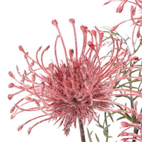 Kunstbloemen speldenkussen protea bloeiende tak 65cm 3 stuks | Floristik24.nl