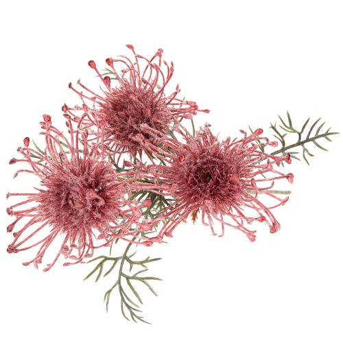 Kunstbloemen speldenkussen protea bloeiende tak 65cm 3 stuks | Floristik24.nl