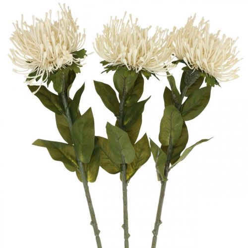 Artikel Speldenkussen kunstbloemen exotische Protea Leucospermum crème 73cm 3st