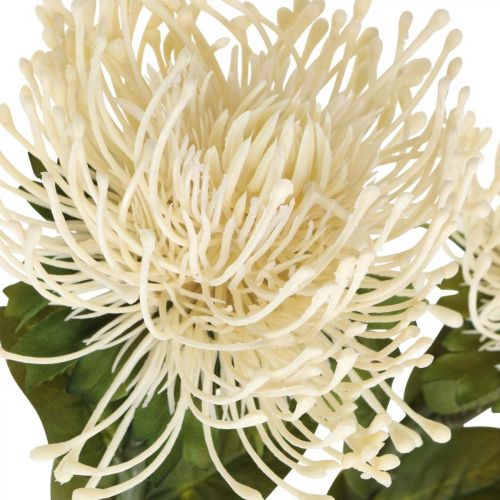 Artikel Speldenkussen kunstbloemen exotische Protea Leucospermum crème 73cm 3st