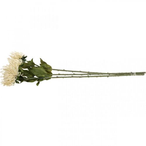 Artikel Speldenkussen kunstbloemen exotische Protea Leucospermum crème 73cm 3st