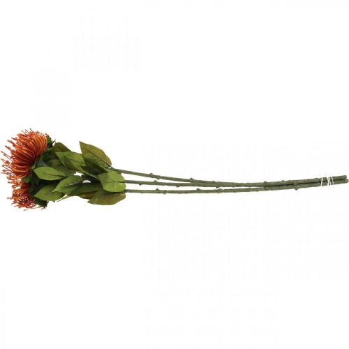 Artikel Speldenkussen Exotische Kunstbloem Oranje Leucospermum Protea 73cm 3st