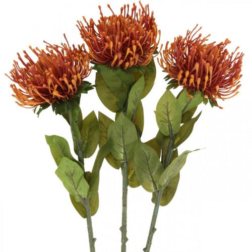 Floristik24 Speldenkussen Exotische Kunstbloem Oranje Leucospermum Protea 73cm 3st