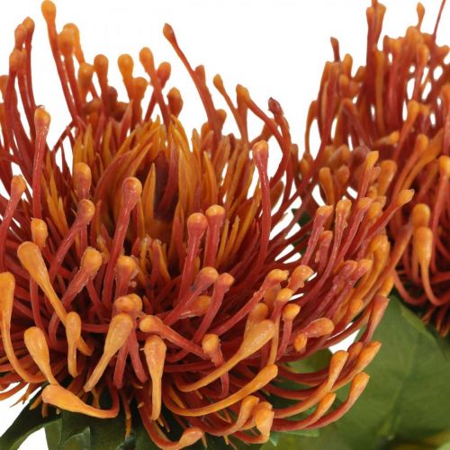 Artikel Speldenkussen Exotische Kunstbloem Oranje Leucospermum Protea 73cm 3st