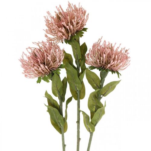 Herfstbloem speldenkussen kunst Protea Rosa Leucospermum 73cm 3st