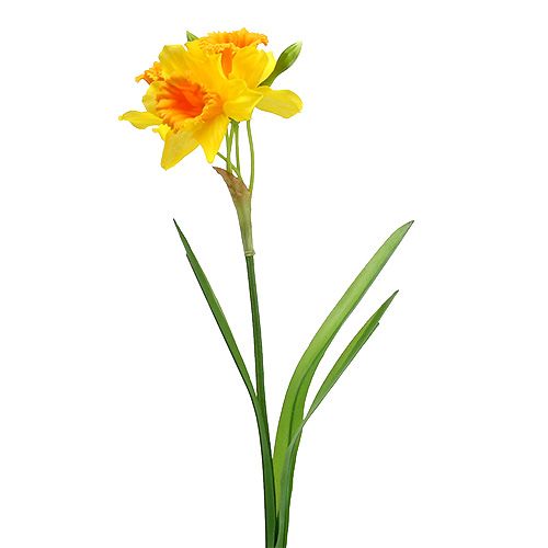 Floristik24 Narcis geel L40cm
