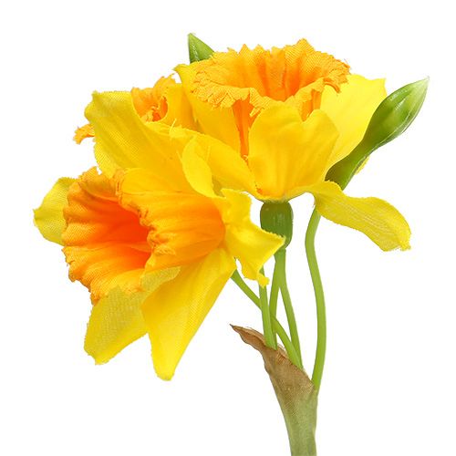 Floristik24 Narcis geel L40cm