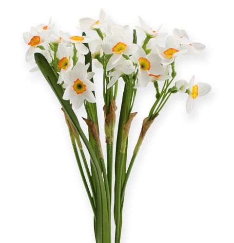 Floristik24 Narcissenboeket in wit 35cm 3st