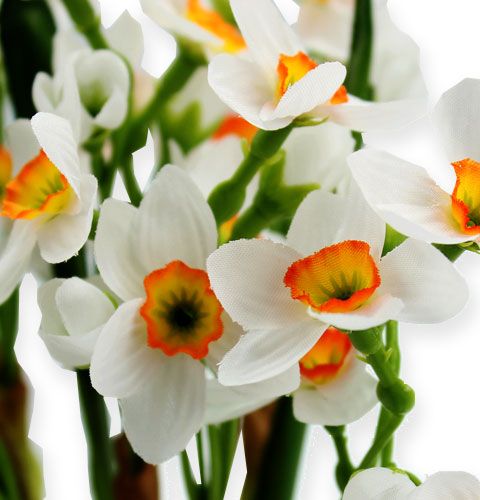 Floristik24 Narcissenboeket in wit 35cm 3st