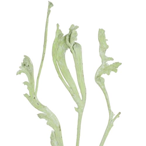 Artikel Natraj Mix appelgroen, whitewashed 10 st