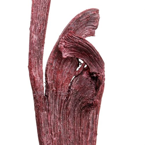 Natraj Thorn Wood Mix Rood, gewassen wit 10 stuks