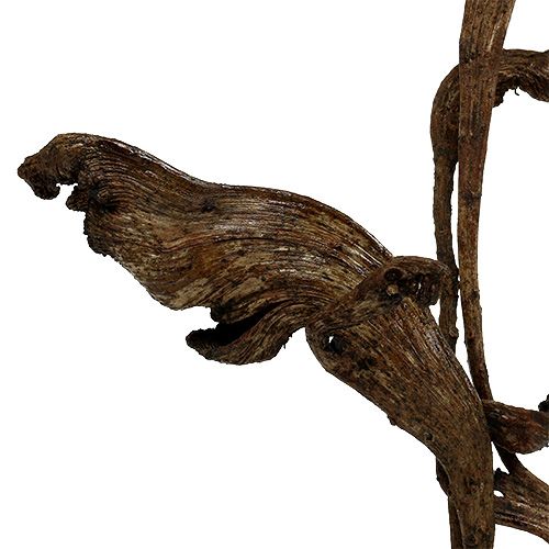 Natraj gewei hout mix naturel 10 stuks
