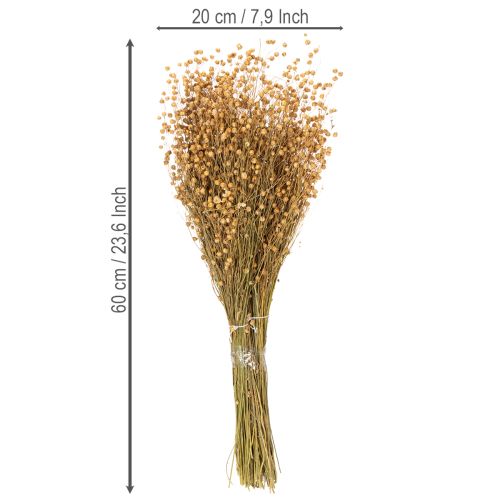 Artikel Natuurlijk gedroogd vlasgras voor droogbloemarrangementen Linum Natur 60cm 180g