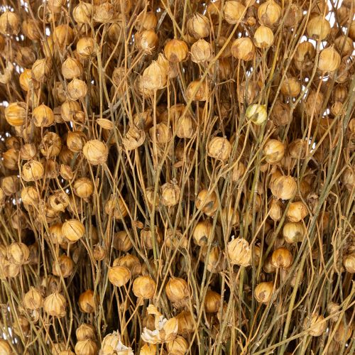 Artikel Natuurlijk gedroogd vlasgras voor droogbloemarrangementen Linum Natur 60cm 180g