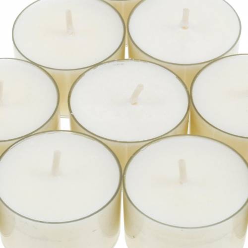 Floristik24 PURE Nature Lights Theelichten Koolzaadwas Natuurlijke brandduur 7 uur 18 stuks
