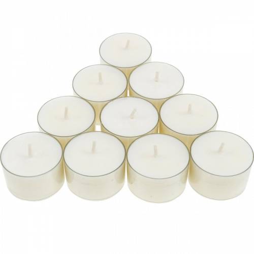 Floristik24 PURE Nature Lights Theelichten Koolzaadwas Natuurlijke brandduur 7 uur 18 stuks