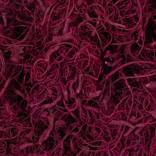 Artikel Natuurlijke tamarindevezels voor knutselprojecten, bordeauxrood, 500 g - Decoratie, bloemschikken, creatief