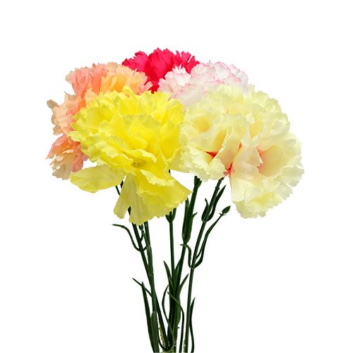 Floristik24 Anjer diverse kleuren op draad 72 st