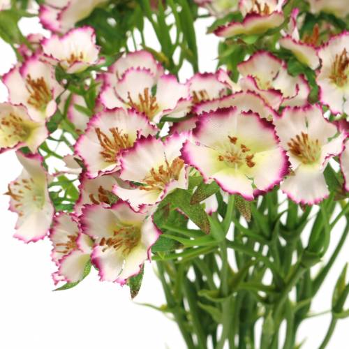 Floristik24 Bos Anjers Wit, Paars 34cm