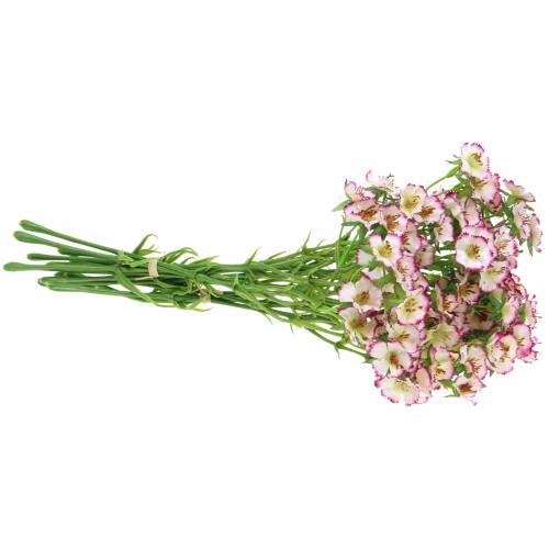 Floristik24 Bos Anjers Wit, Paars 34cm