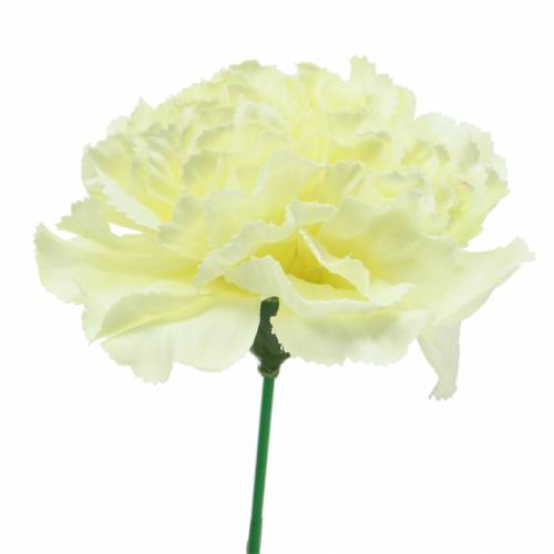 Floristik24 Anjerbloesem wit Ø9cm 12st