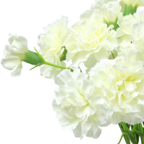 Floristik24 Anjer wit 64cm 4st