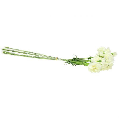 Floristik24 Anjer wit 64cm 4st