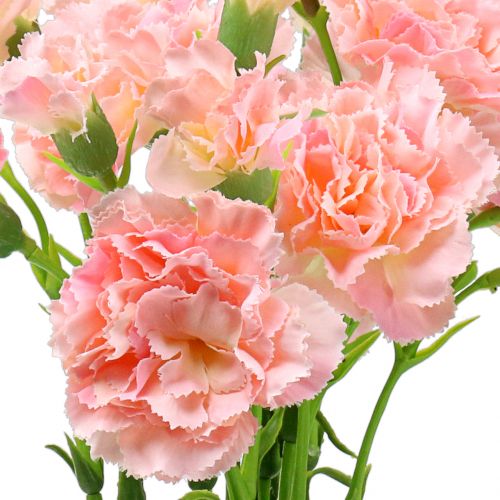 Floristik24 Anjerroze 64cm 4st