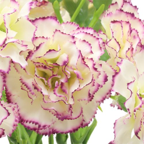 Artikel Anjer Wit-Paars 64cm 4 stuks