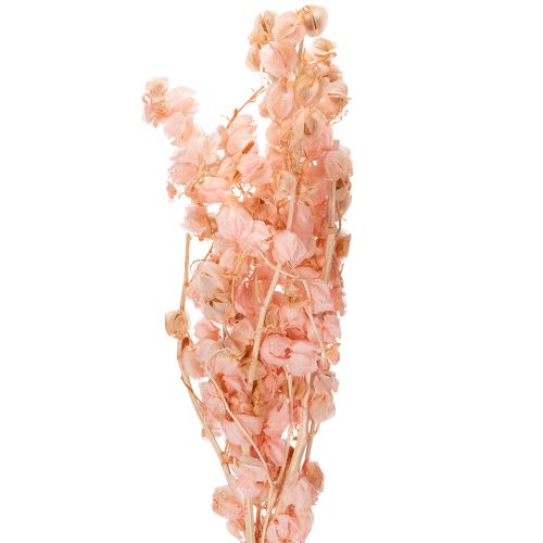 Een gedroogde bloemstengel zorgt voor een romantische sfeer in elke woonruimte (75 cm).