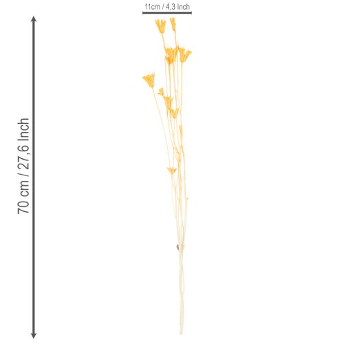 Artikel Nigella droogbloemenarrangement voor langdurig gebruik. Een elegante blikvanger. 70 cm, 50 g