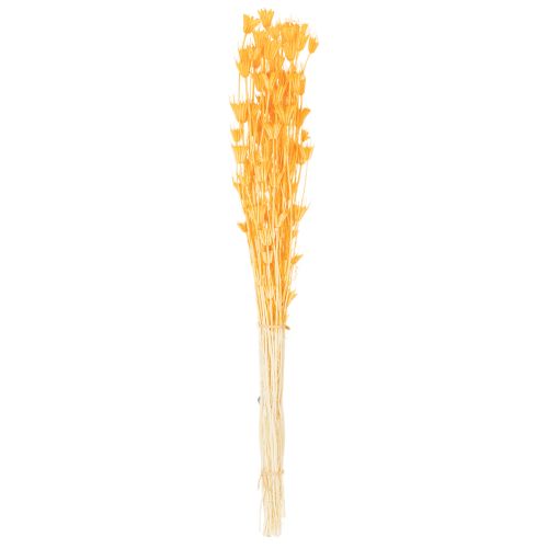 Artikel Nigella droogbloemenarrangement voor langdurig gebruik. Een elegante blikvanger. 70 cm, 50 g