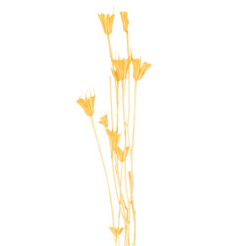 Artikel Nigella droogbloemenarrangement voor langdurig gebruik. Een elegante blikvanger. 70 cm, 50 g