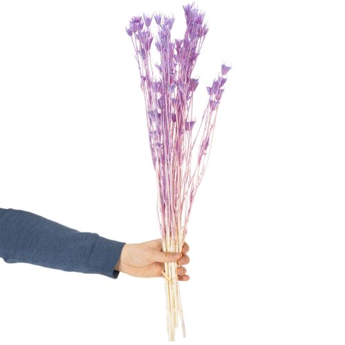 Artikel Boeket gedroogde nigellabloemen, decoratief voor in de woonkamer, creëert een unieke sfeer, 70 cm, 50 g