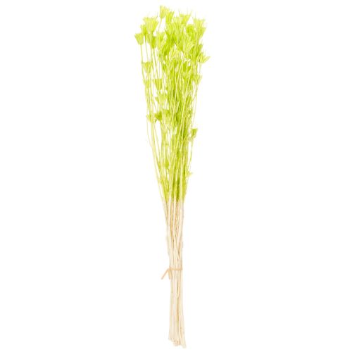 Artikel Gedroogde nigellabloemen, een charmante, natuurlijke kamerdecoratie voor in huis, 70 cm, 50 g