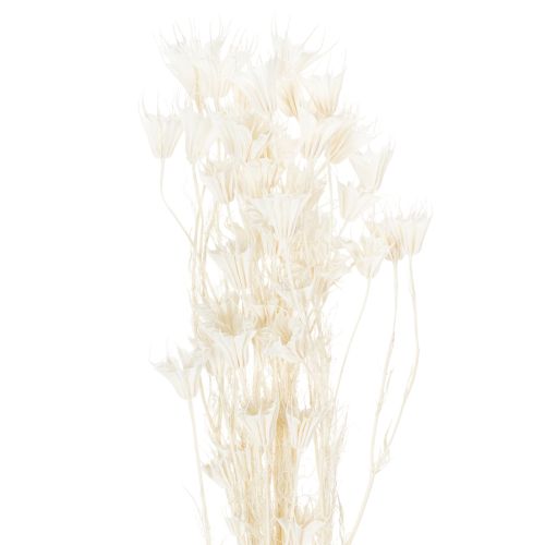 Gedroogde nigellabloemen, een boeket elegante natuurlijke decoratie voor exclusieve interieurs, 70 cm, 50 g