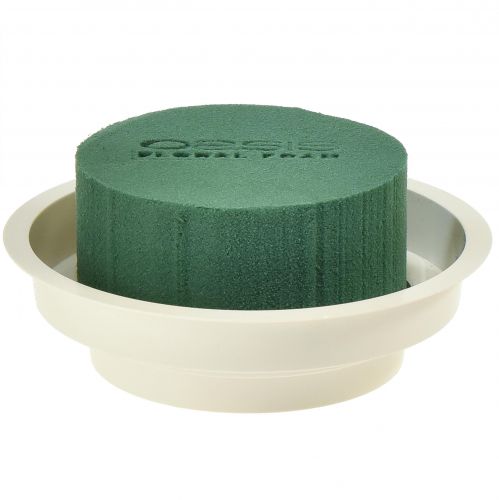Artikel OASIS® Junior Compleet 12 st