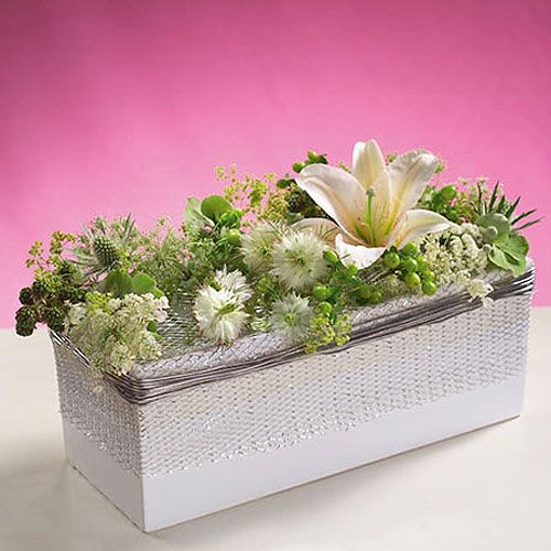 Artikel OASIS® Tafeldeco Mini Steekschuim 8 st