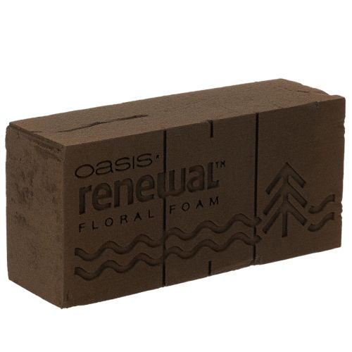 Oasis Renewal bloemenfoam 23 cm 1 blok kopen | Floristik24.nl