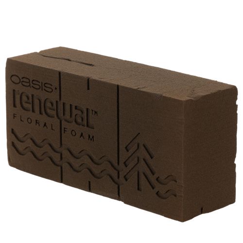 Oasis Renewal bloemenfoam 23 cm 1 blok | Floristik24.nl