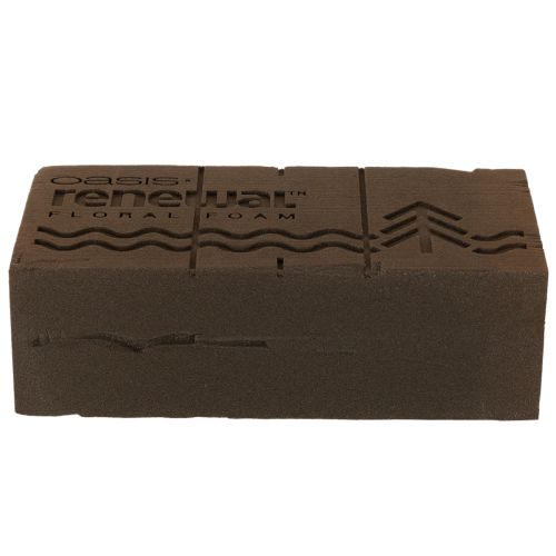 Oasis Renewal bloemenfoam 23 cm 1 blok | Floristik24.nl