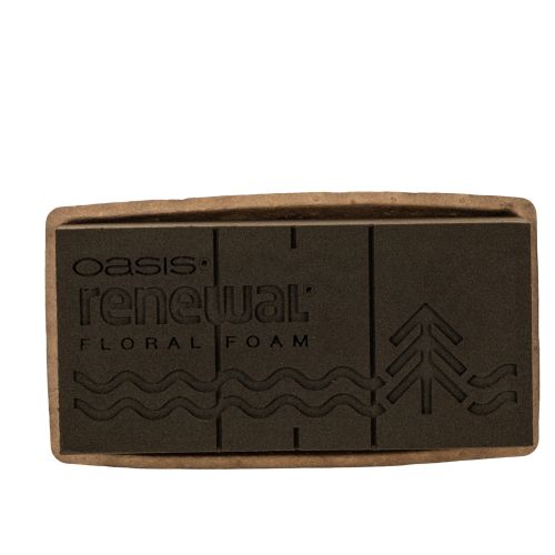 Bloemenfoam 1/1 blok OASIS® Renewal® Bloemenfoam Biolit® 24cm 2 stuks