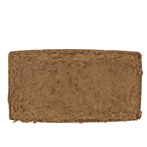 Bloemenfoam 1/1 blok OASIS® Renewal® Bloemenfoam Biolit® 24cm 2 stuks | Floristik24.nl